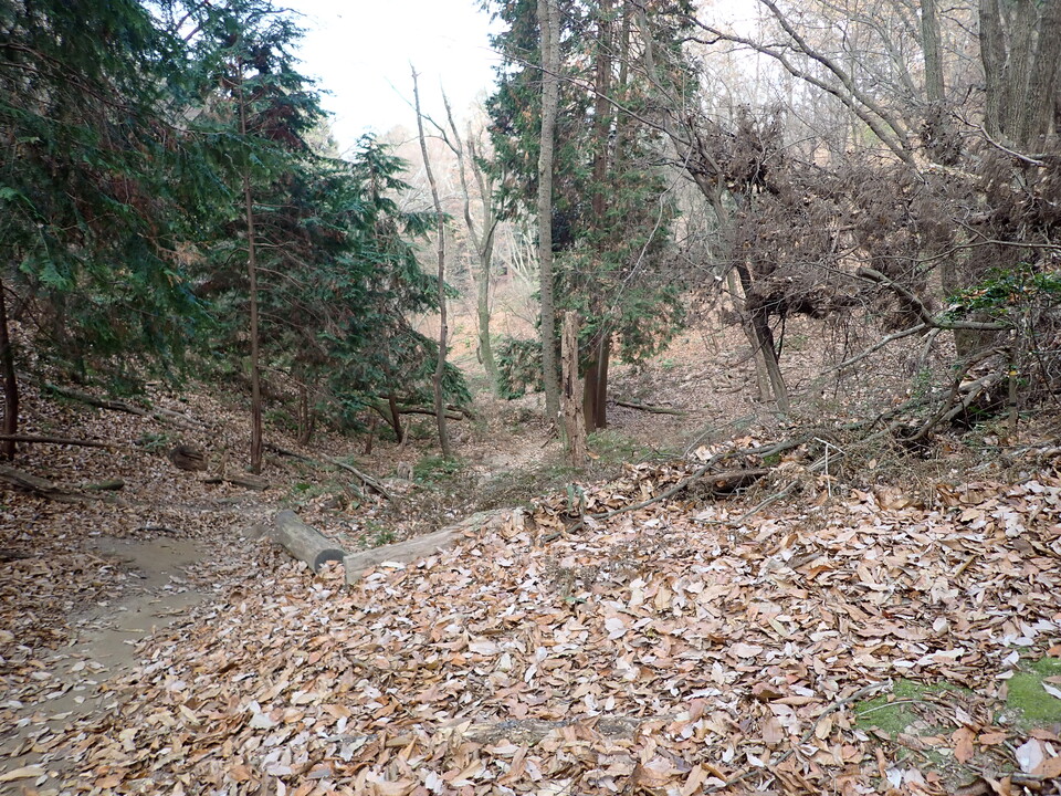 PC238233_mid.jpg