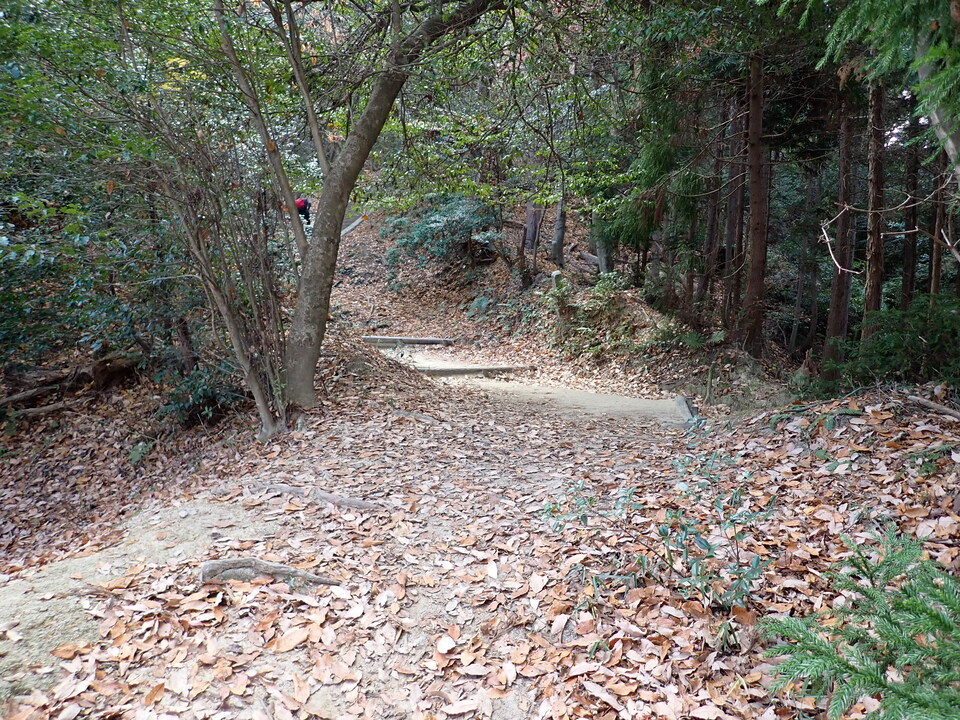 PC238237_mid.jpg