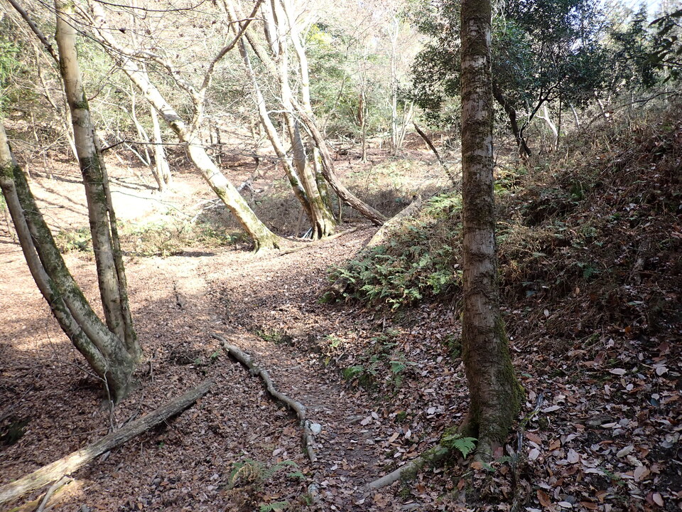 PC238282_mid.jpg