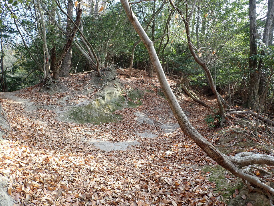 PC238303_mid.jpg