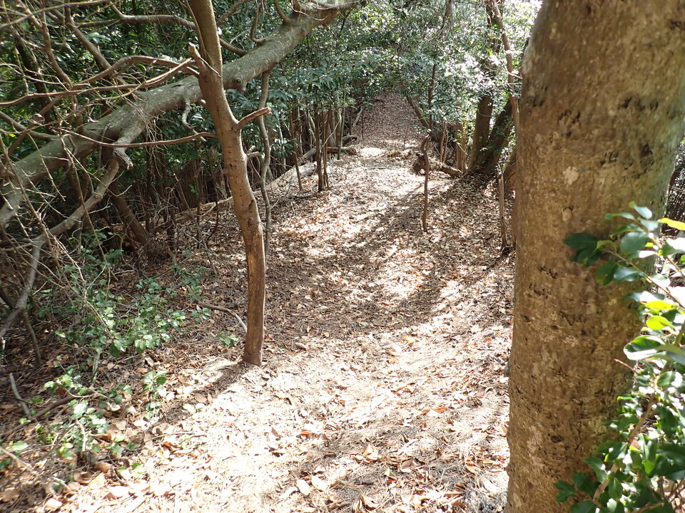 PC238314_mid.jpg