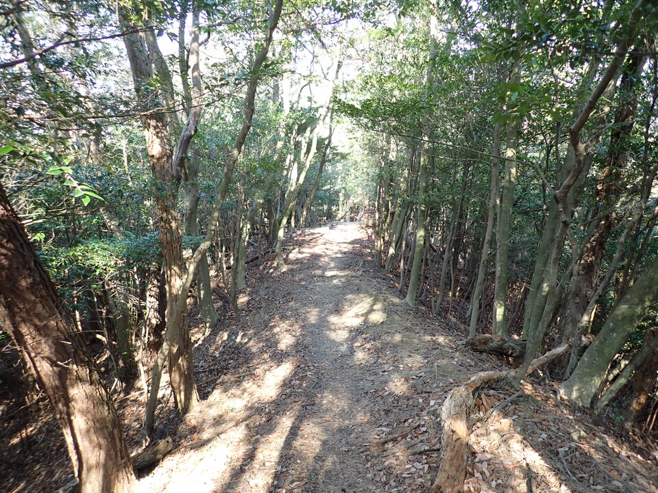 PC238378_mid.jpg