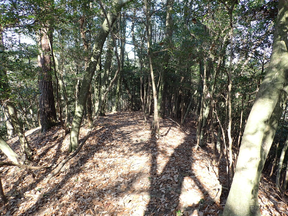 PC238380_mid.jpg