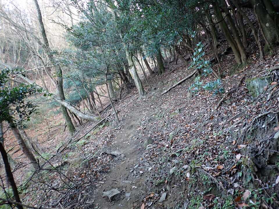 PC238458_mid.jpg