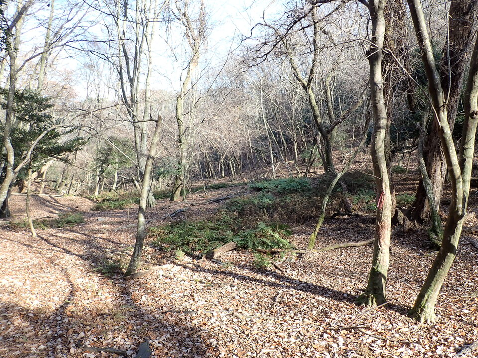 PC238471_mid.jpg