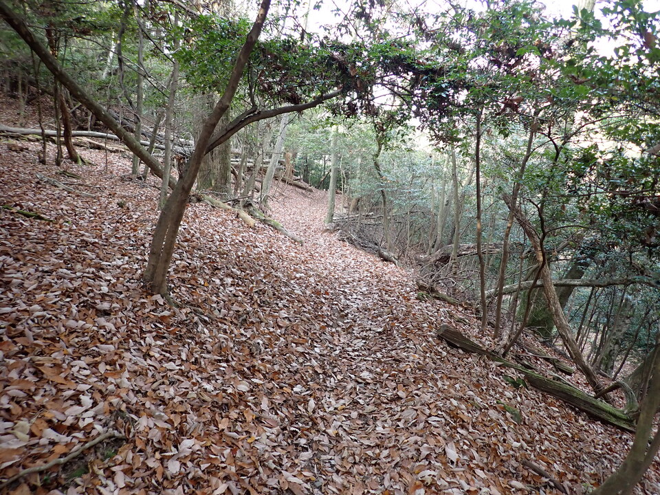 PC238488_mid.jpg