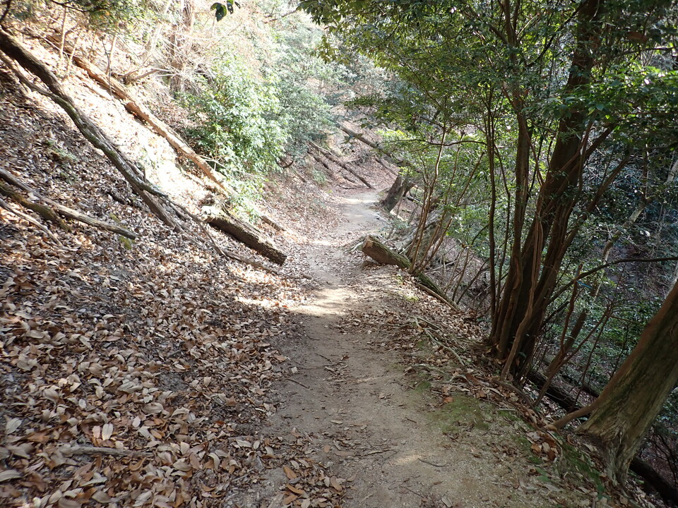 PC238514_mid.jpg