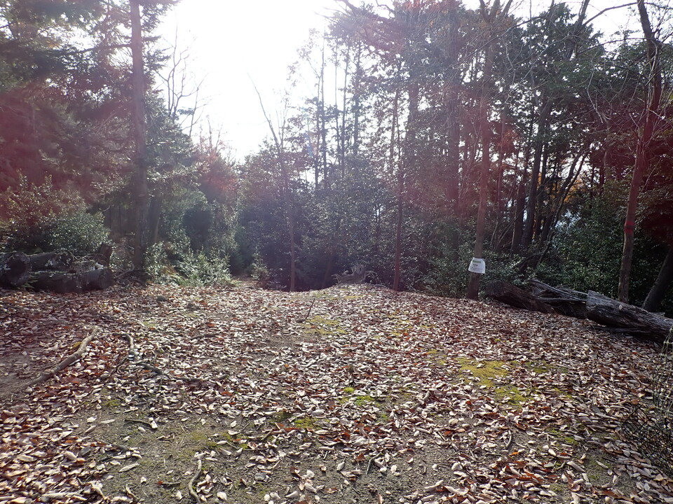 PC238548_mid.jpg