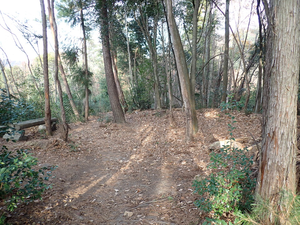 PC238556_mid.jpg
