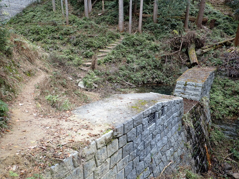PC268580_mid.jpg