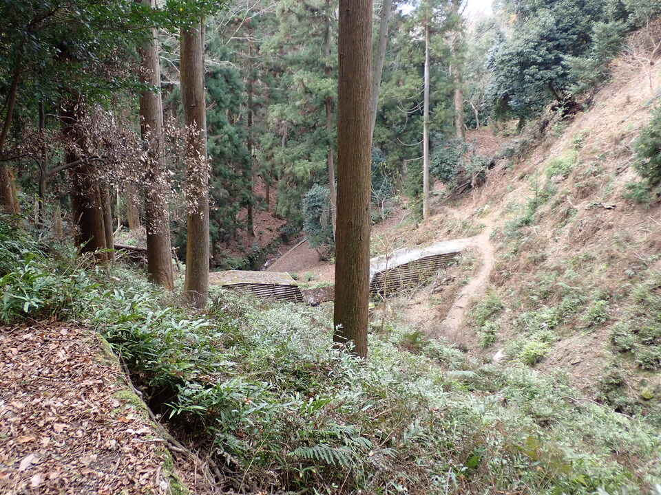 PC268585_mid.jpg