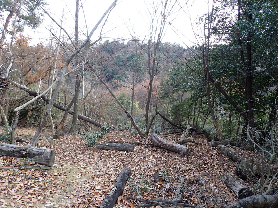 PC268611_mid.jpg