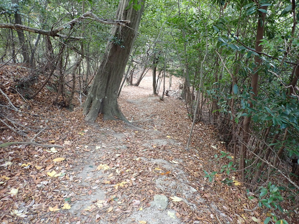 PC268627_mid.jpg