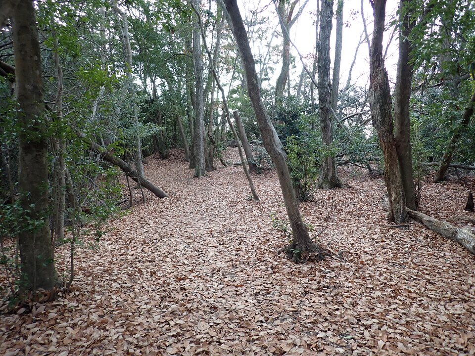 PC268634_mid.jpg