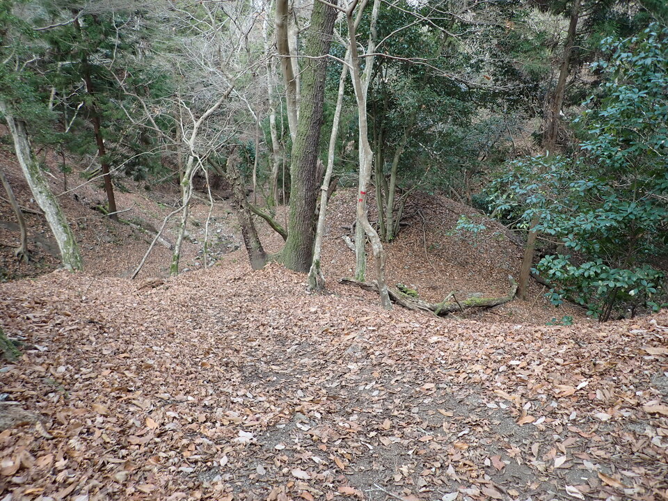 PC268646_mid.jpg
