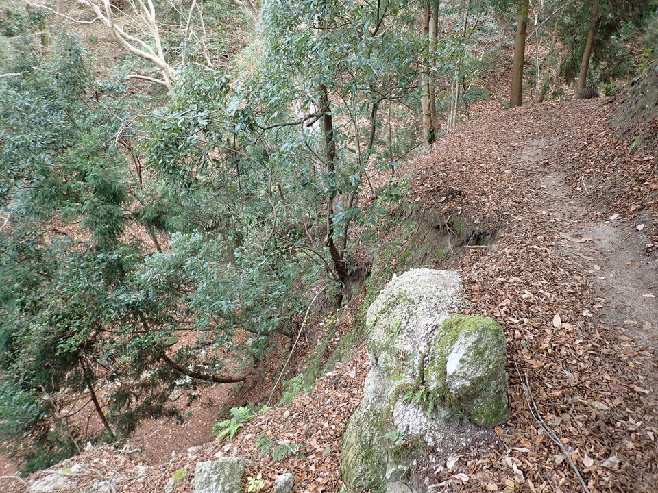 PC268647_mid.jpg