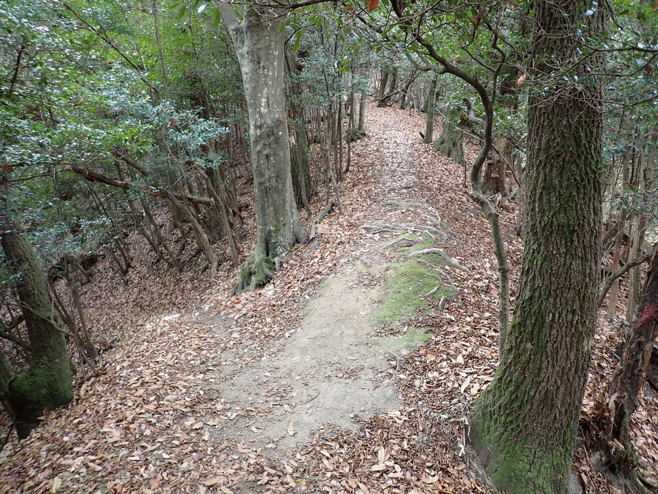 PC268674_mid.jpg