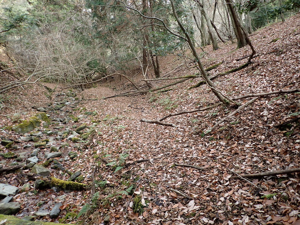 PC268690_mid.jpg