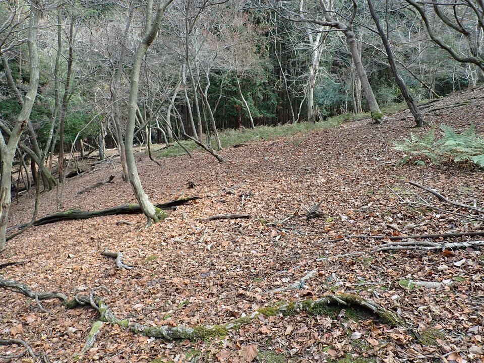 PC268697_mid.jpg