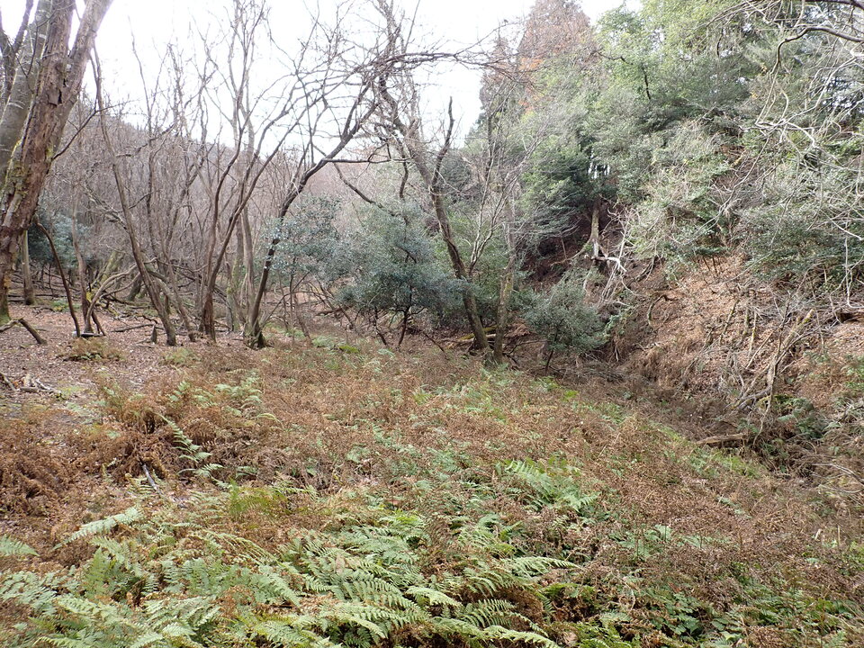 PC268705_mid.jpg