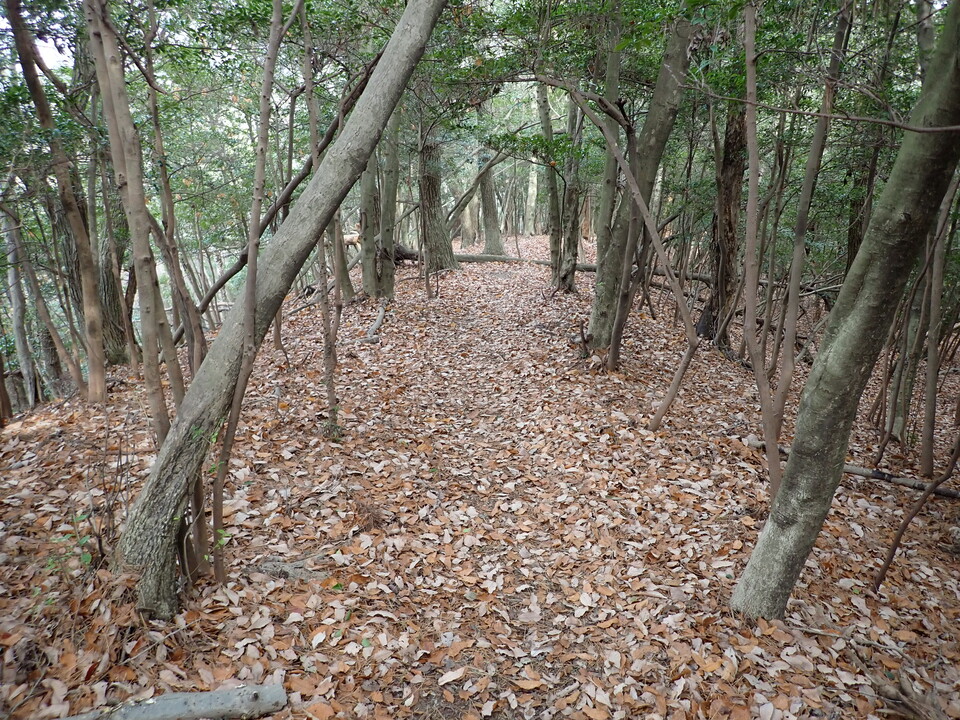 PC268722_mid.jpg