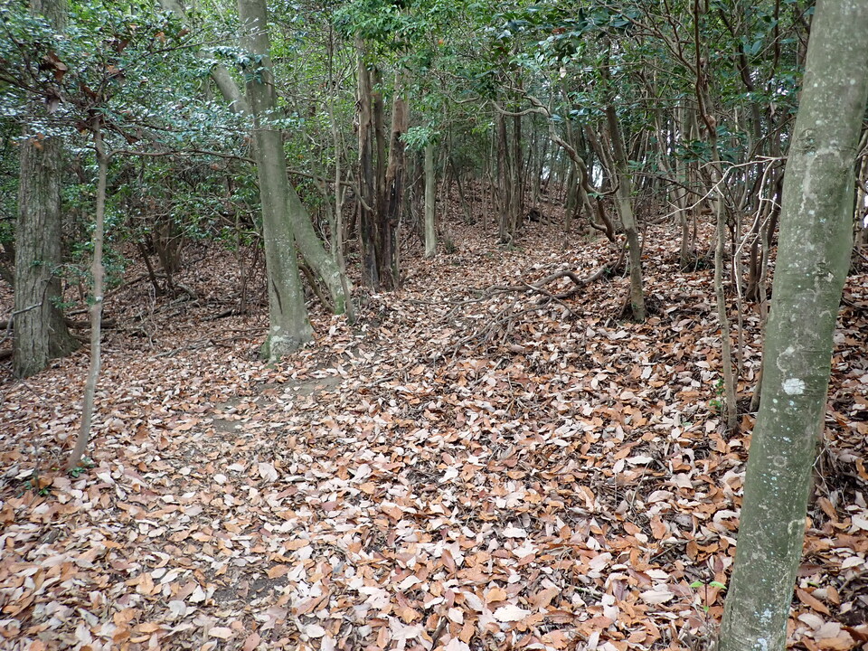 PC268723_mid.jpg