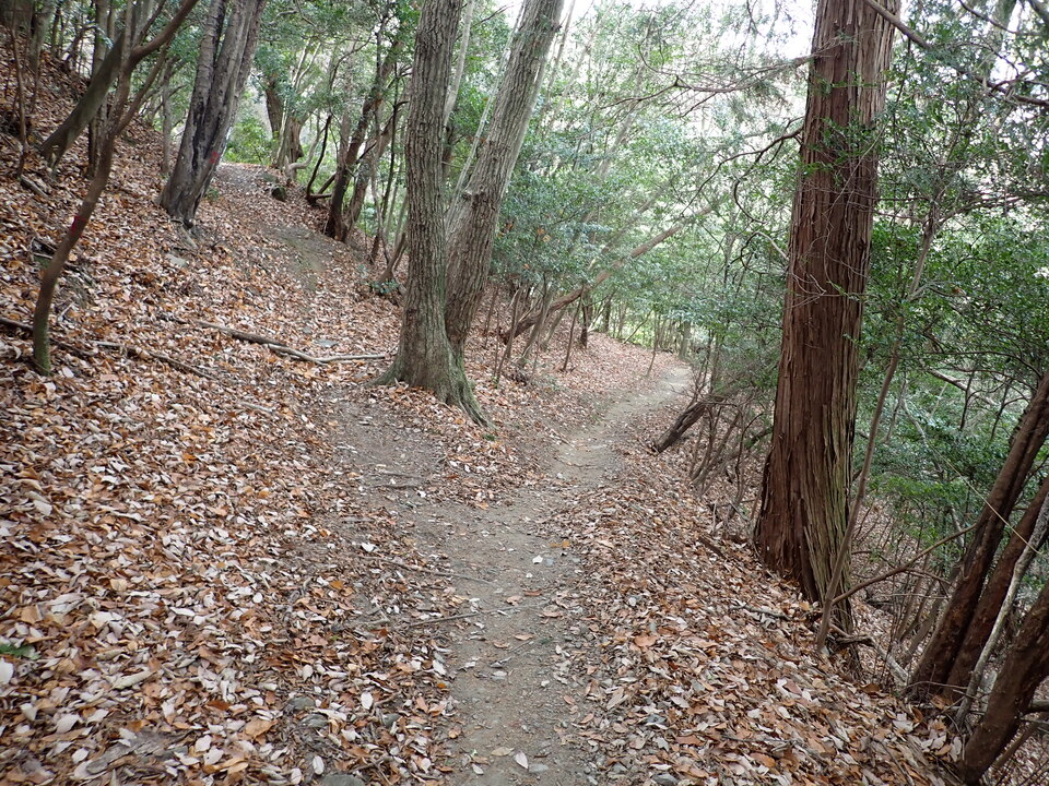 PC268746_mid.jpg