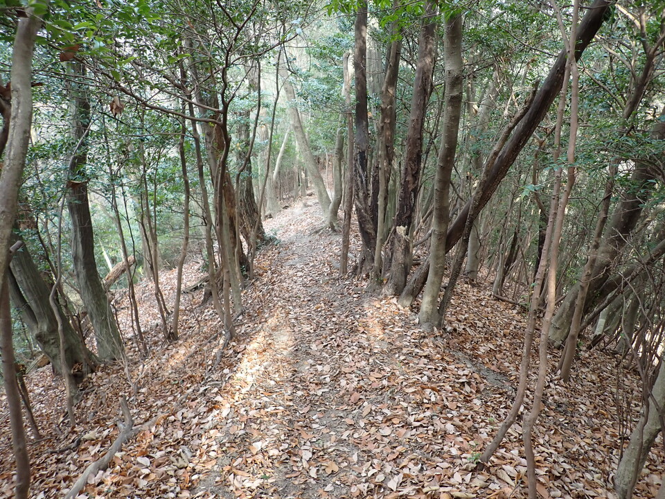 PC268769_mid.jpg