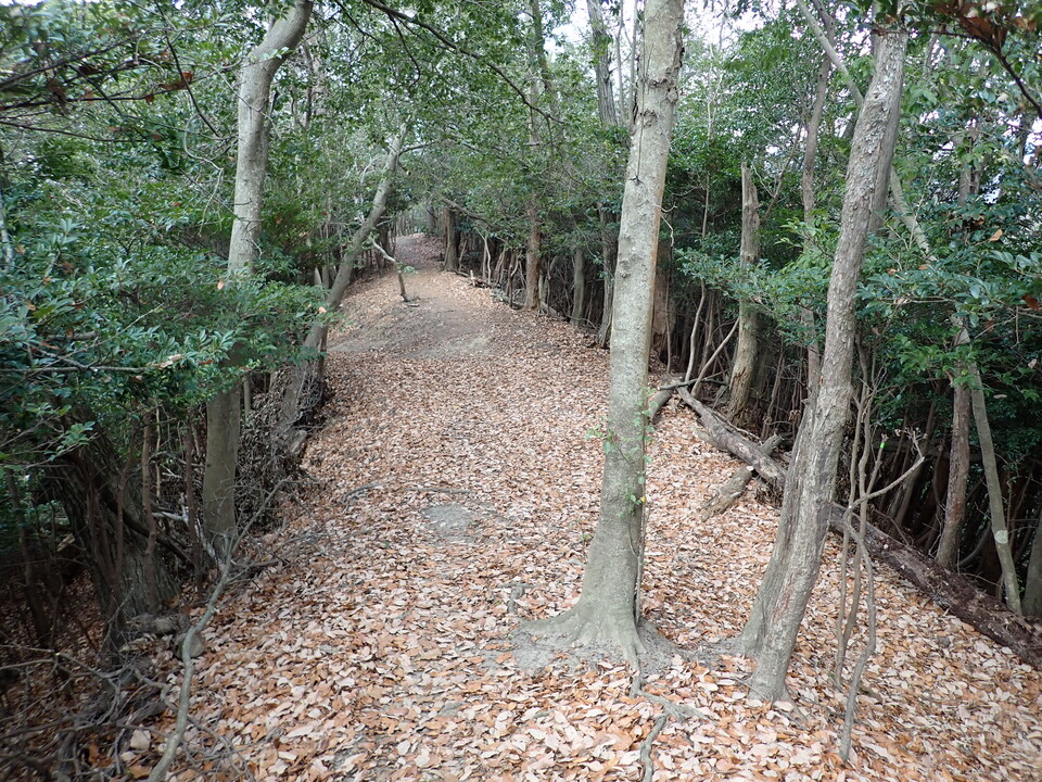 PC268777_mid.jpg
