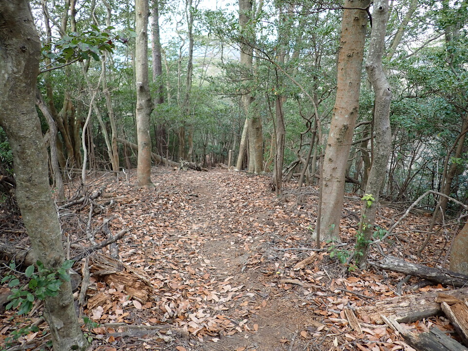PC268795_mid.jpg