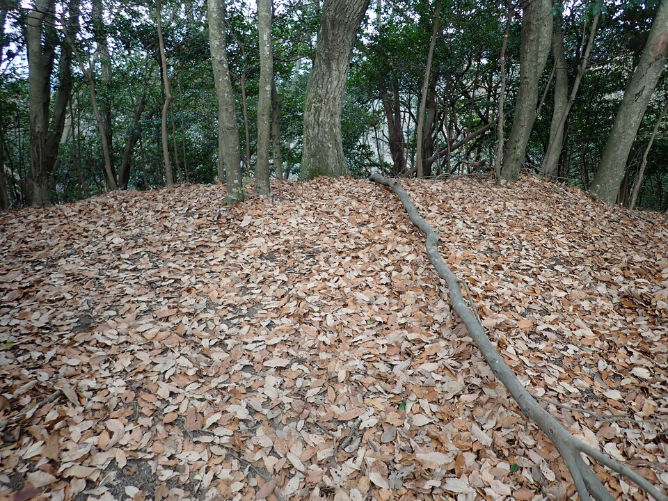 PC268813_mid.jpg