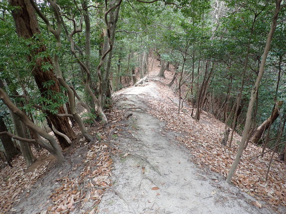 PC268828_mid.jpg