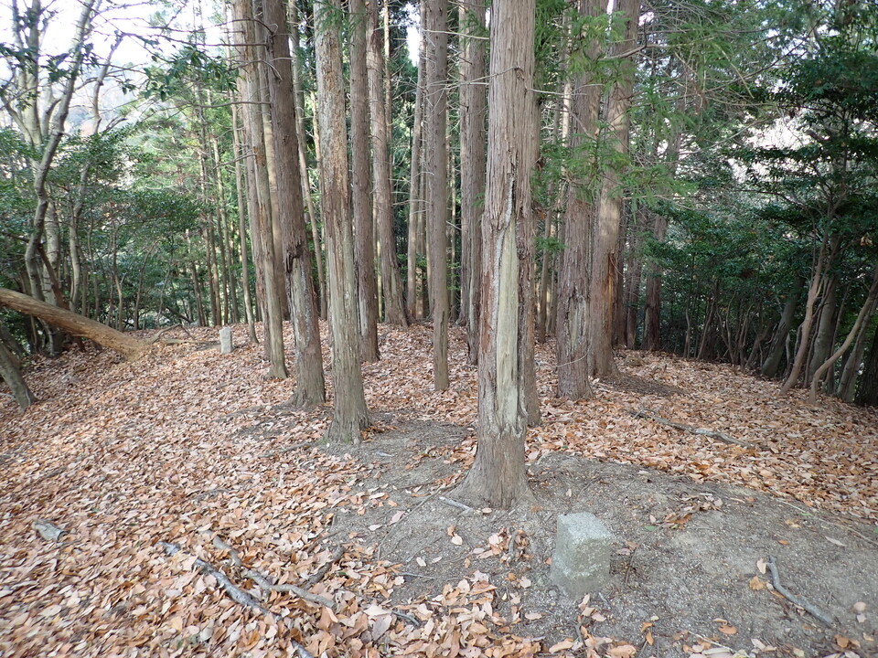 PC268847_mid.jpg