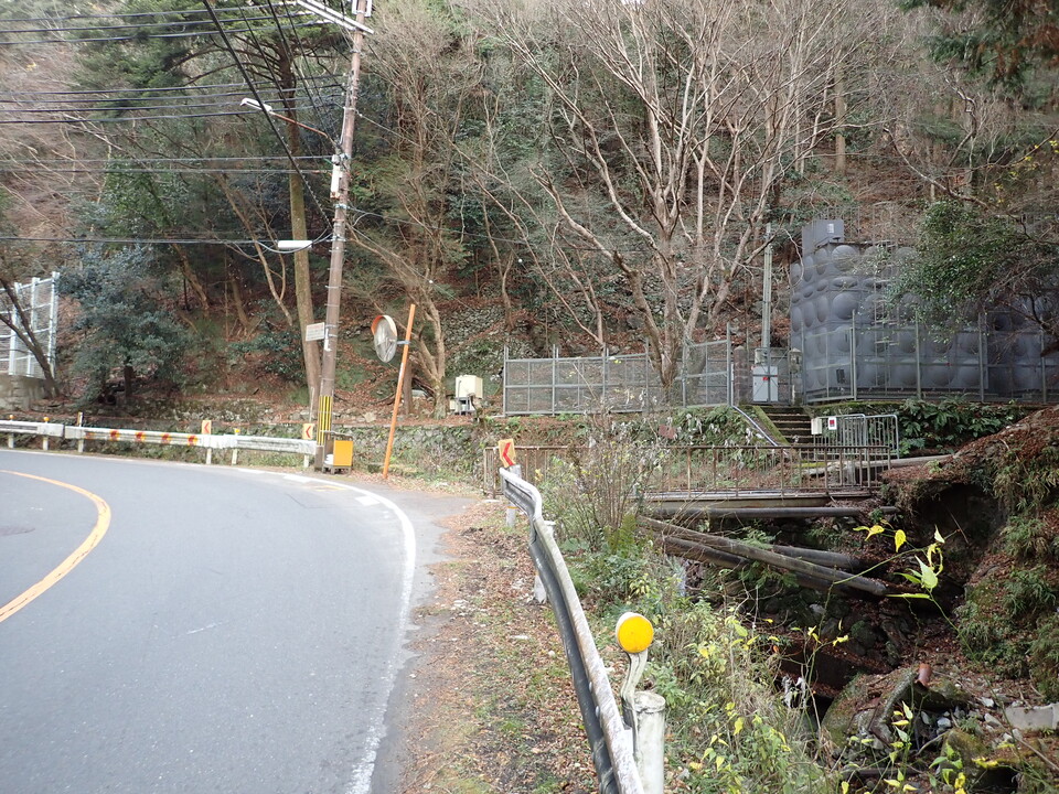 PC268886_mid.jpg