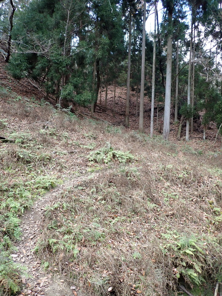 PC268910_mid.jpg