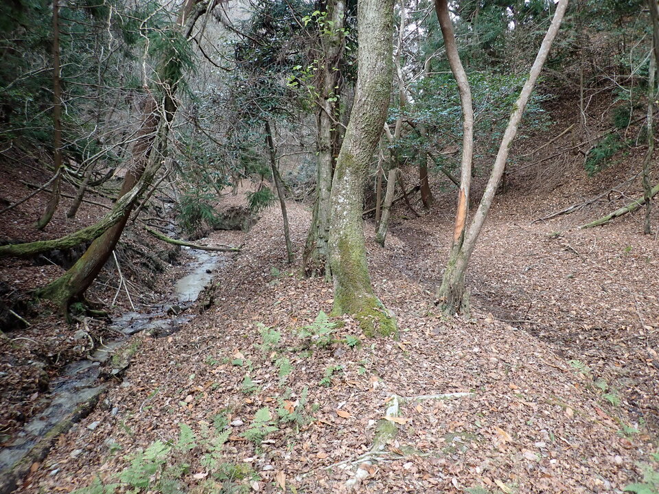 PC268913_mid.jpg