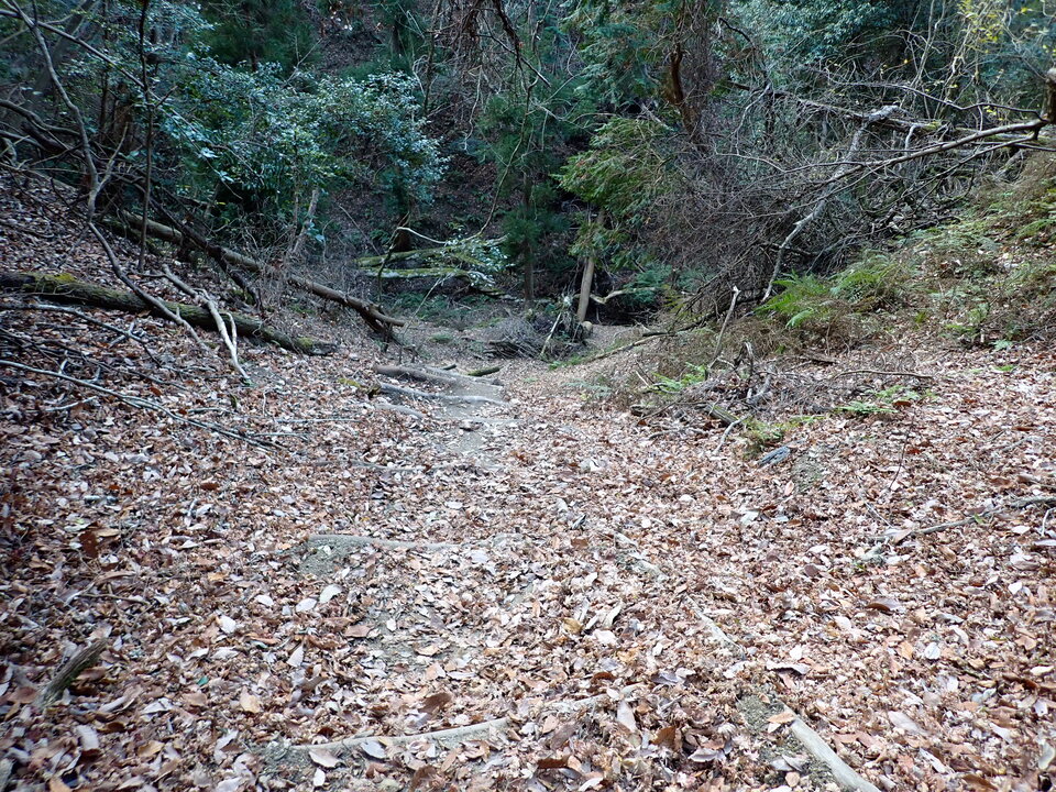 PC268936_mid.jpg