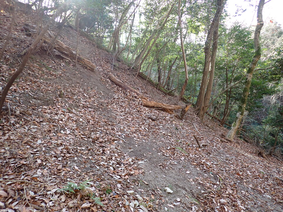 PC268947_mid.jpg