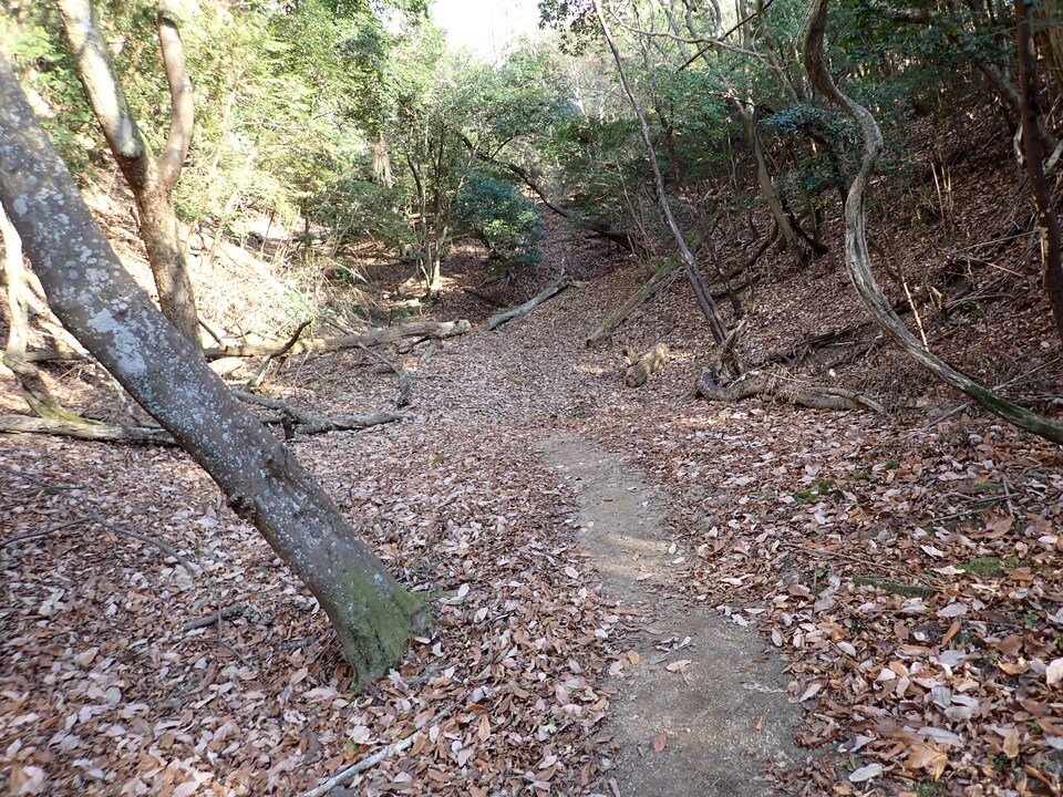 PC268948_mid.jpg
