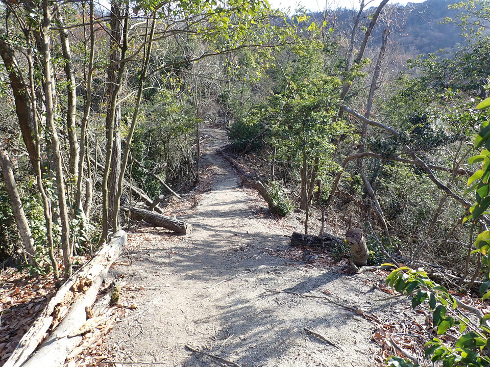 PC268959_mid.jpg