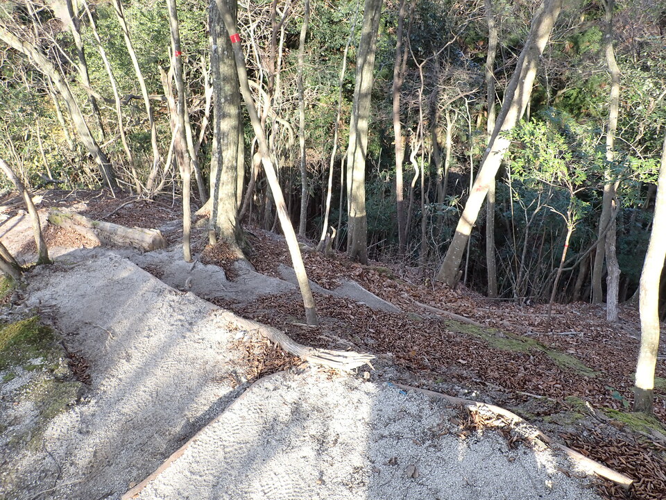 PC268965_mid.jpg