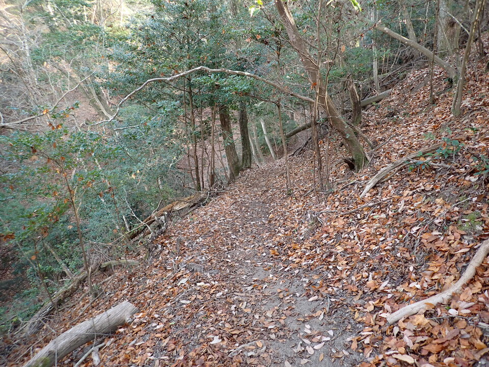 PC268977_mid.jpg