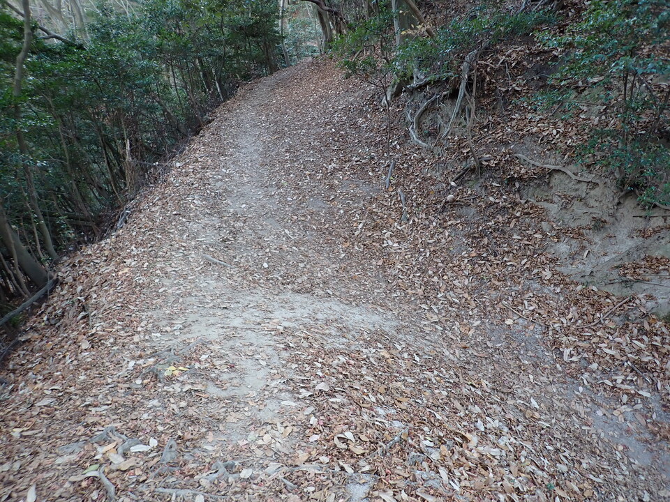 PC268988_mid.jpg
