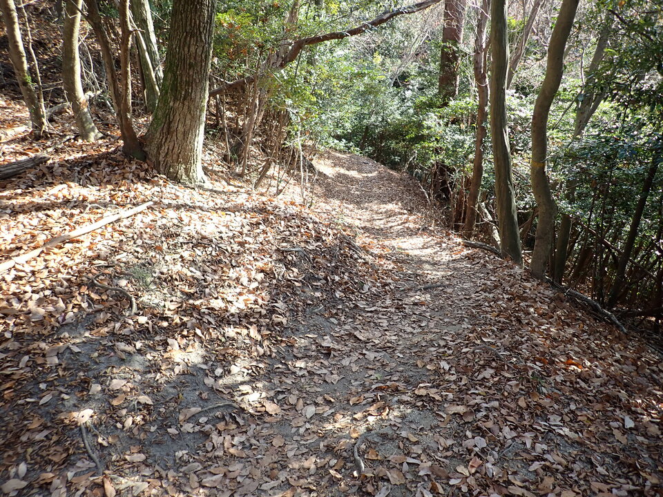 PC268993_mid.jpg