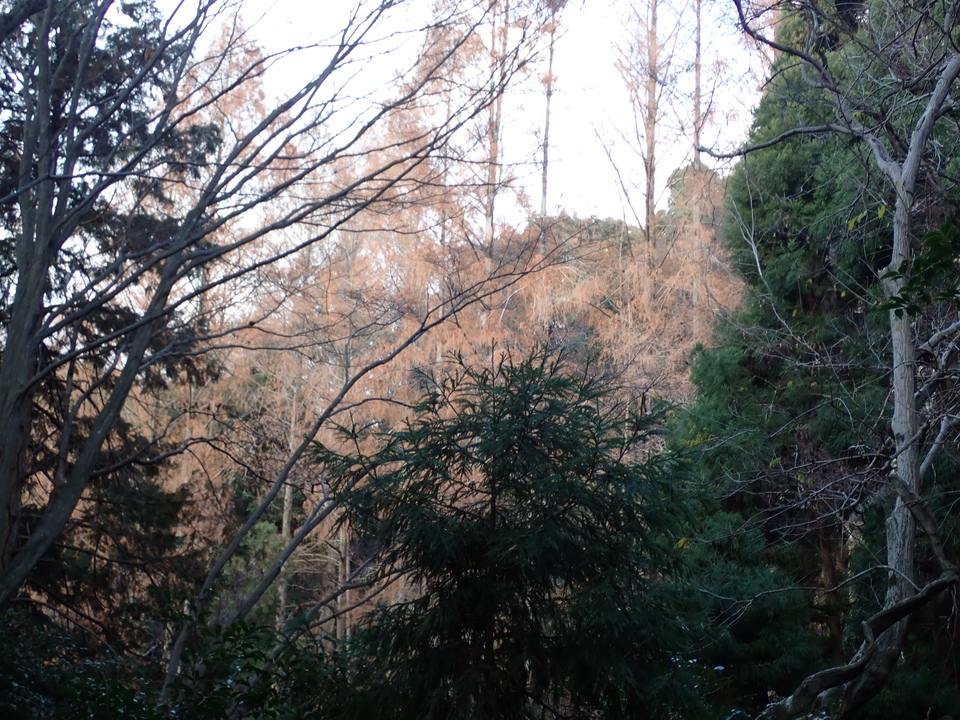 PC269015_mid.jpg