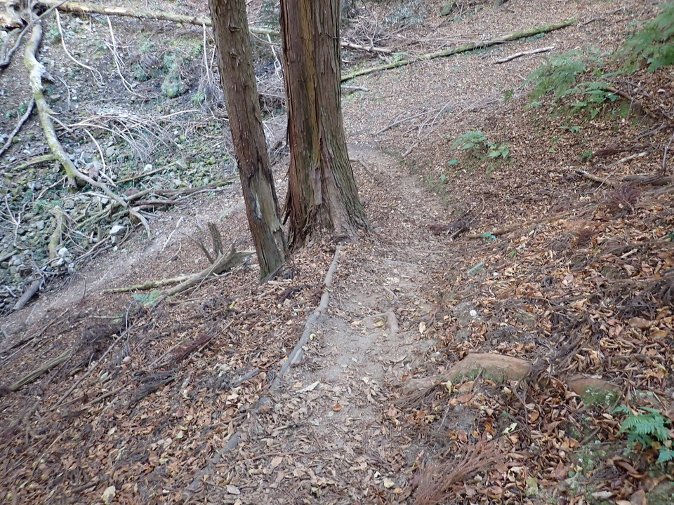 PC269019_mid.jpg