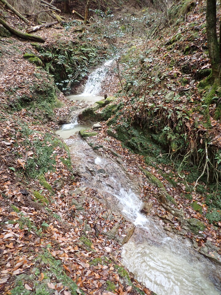 PC299092_mid.jpg