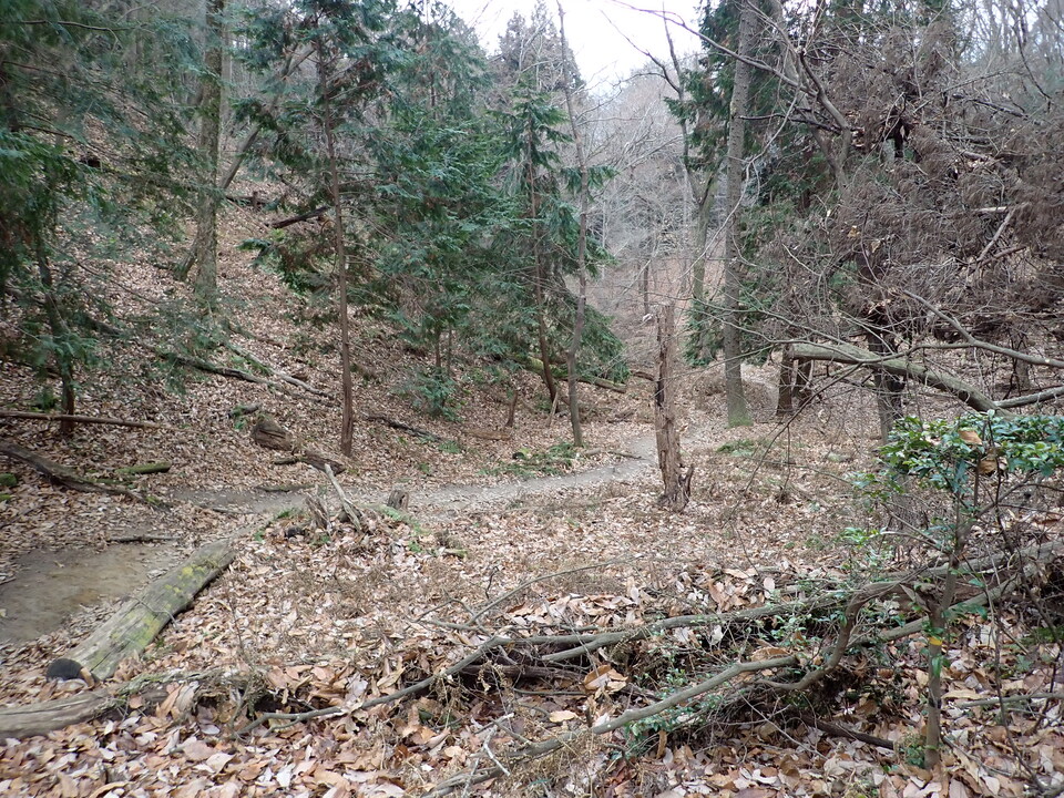 P1170035_mid.jpg