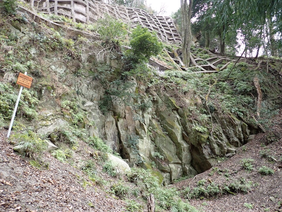 P1170040_mid.jpg