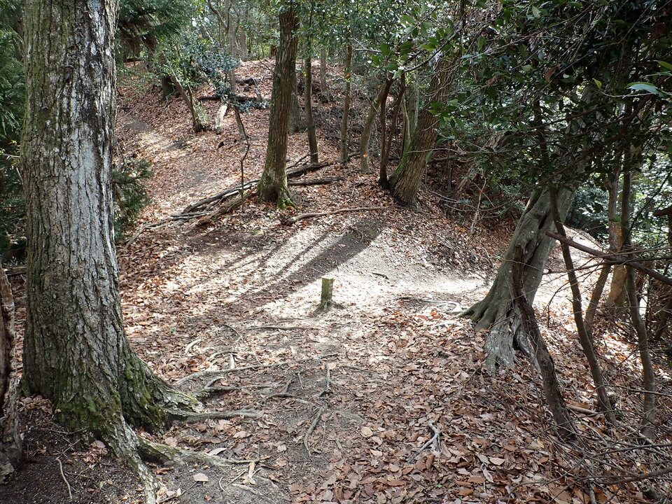 P1179699_mid.jpg